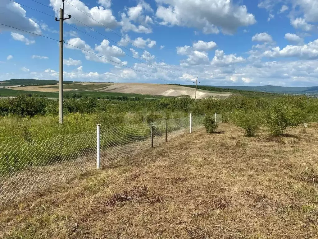 Участок в Краснодарский край, Новороссийск городской округ, Победа ... - Фото 2