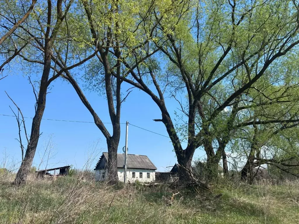 Дом в Орловская область, Мценский район, Подберезовское с/пос, д. ... - Фото 1