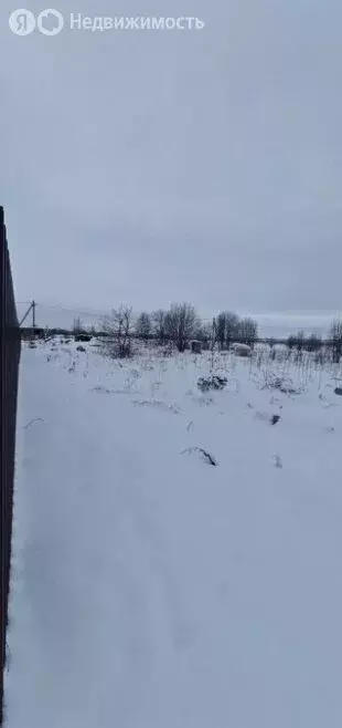 Участок в Волосовский район, Калитинское сельское поселение, деревня ... - Фото 2