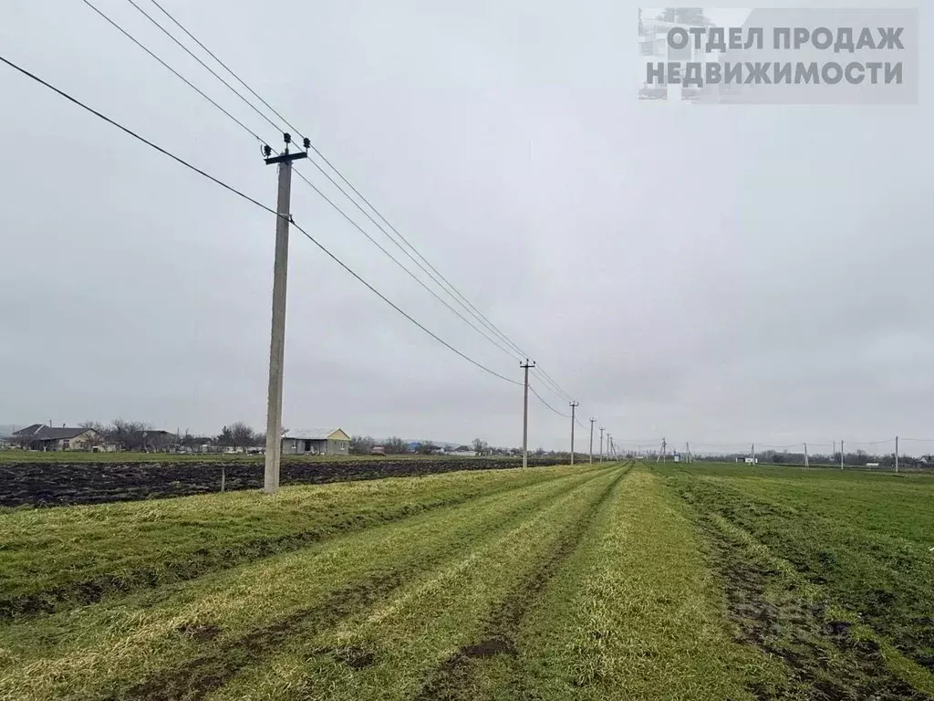 Участок в Краснодарский край, Крымский район, с. Киевское ул. 75 лет ... - Фото 1