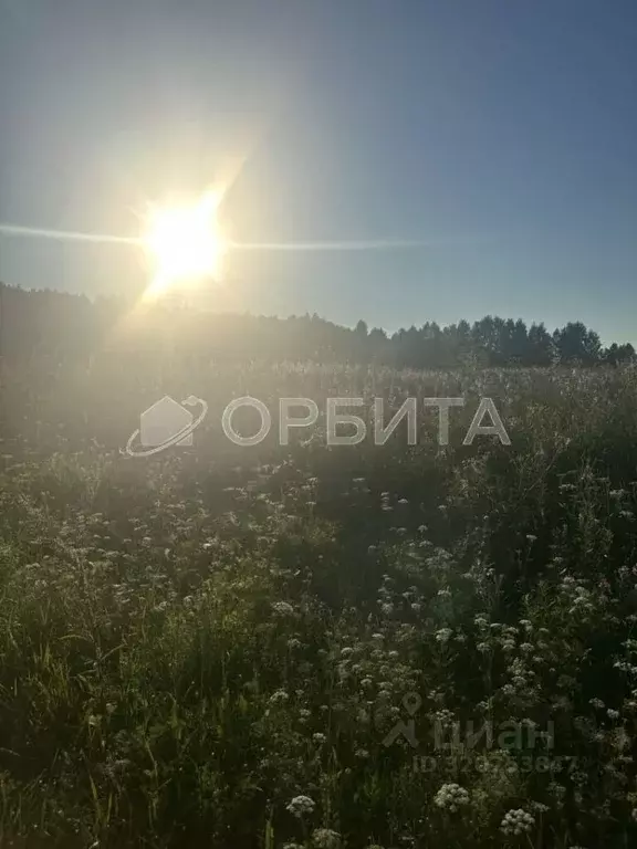 Участок в Тюменская область, Нижнетавдинский район, д. Красный Яр, ... - Фото 2