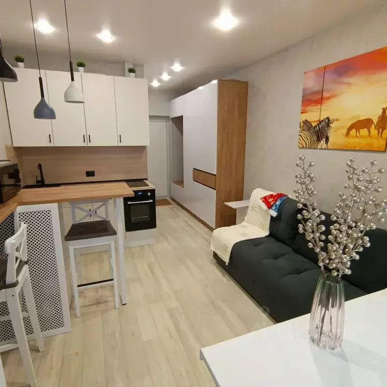 Студия Марий Эл, Медведево городское поселение, Медведево пгт ул. ... - Фото 1