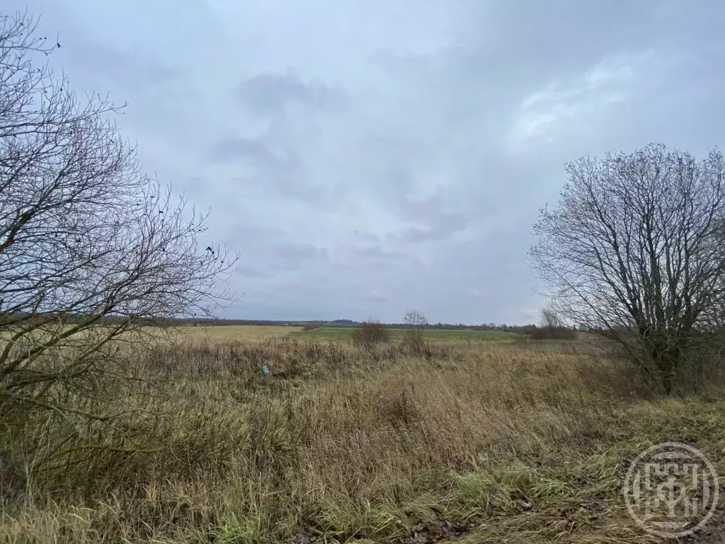 Участок в Ленинградская область, Волховский район, Свирицкое с/пос, ... - Фото 1