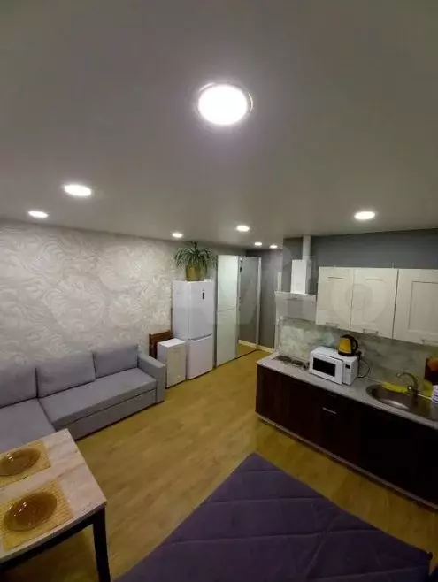 Квартира-студия, 25,4 м, 4/14 эт. - Фото 1