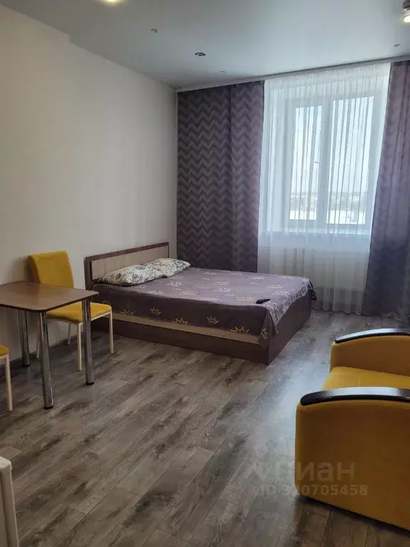 Студия Пермский край, Пермь ул. Куйбышева, 109А (26.0 м) - Фото 1