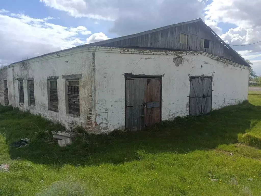 Помещение свободного назначения в Курганская область, Варгашинский ... - Фото 0