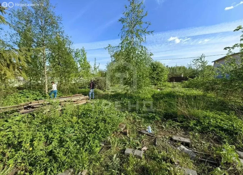 Участок в Санкт-Петербург, садоводство Педиатр, 2-я линия, 3 (6.2 м) - Фото 2