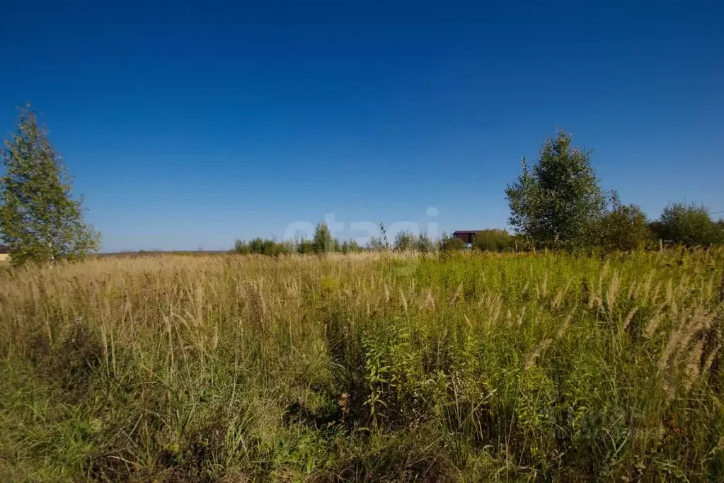 Участок в Калужская область, пос. Ферзиково  (13.0 сот.) - Фото 2