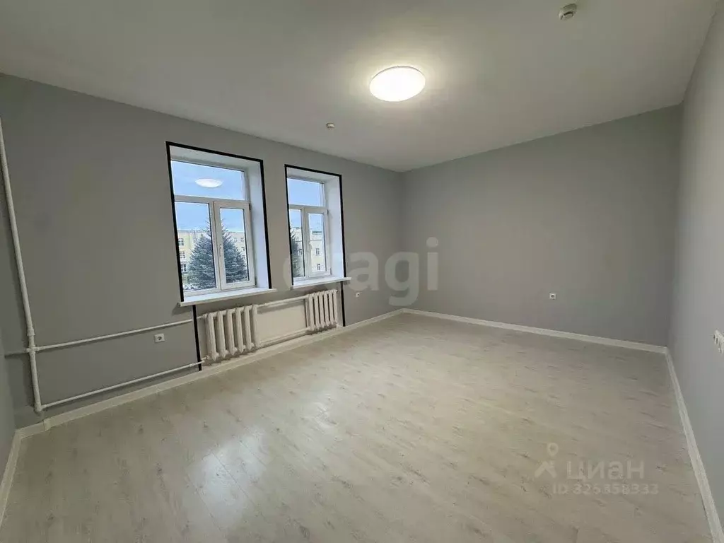 Офис в Псковская область, Псков Советская ул., 111 (21 м) - Фото 2