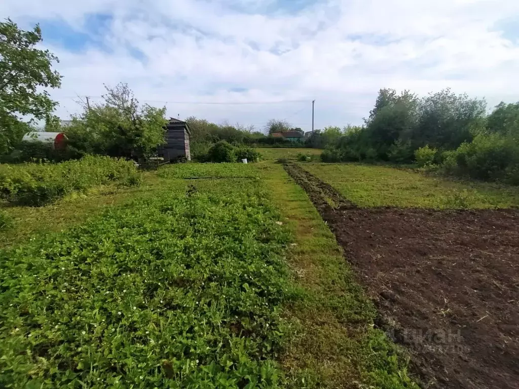 Участок в Оренбургская область, Оренбургский район, Благословенский ... - Фото 1