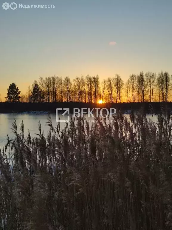 Дом в Костромской район, Самсоновское сельское поселение, деревня ... - Фото 2