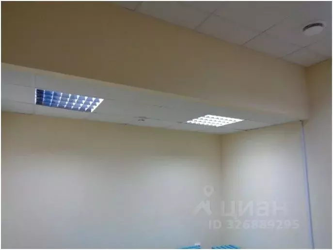 Помещение свободного назначения в Ленинградская область, Ивангород ... - Фото 2