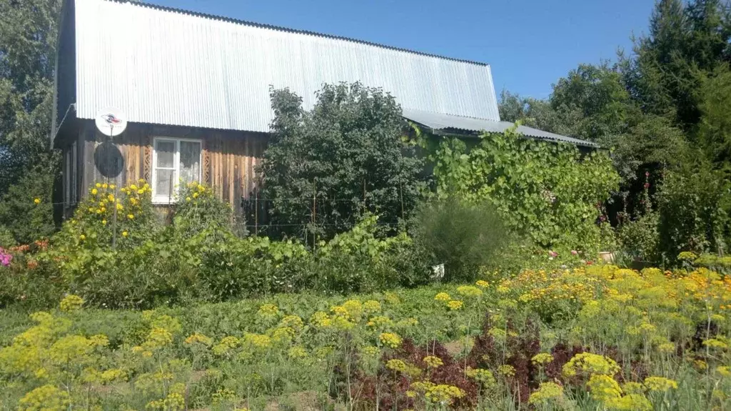 Дом в Нижегородская область, Богородский район, с. Ефимьево Полевая ... - Фото 0