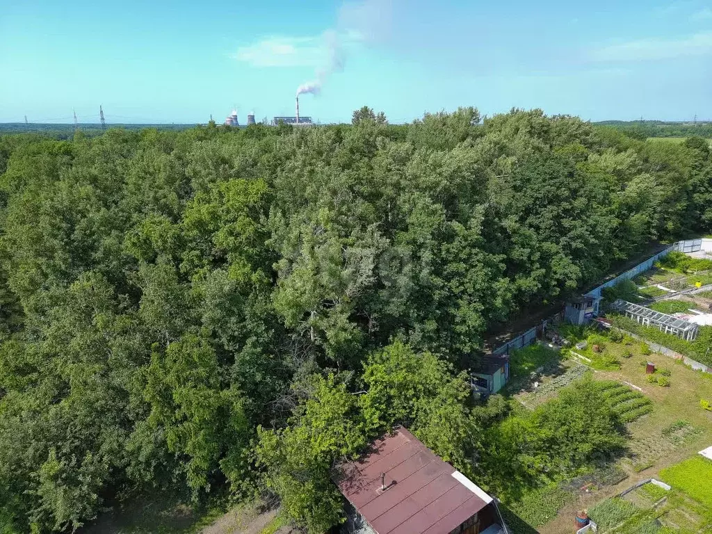 Участок в Хабаровский край, Хабаровск ул. Коммунальник-1 (16.0 сот.) - Фото 1