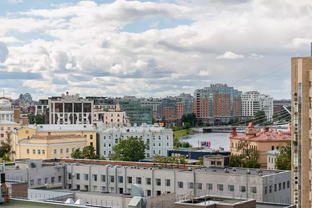 1-к кв. Санкт-Петербург Песочная наб., 40 (50.5 м) - Фото 2