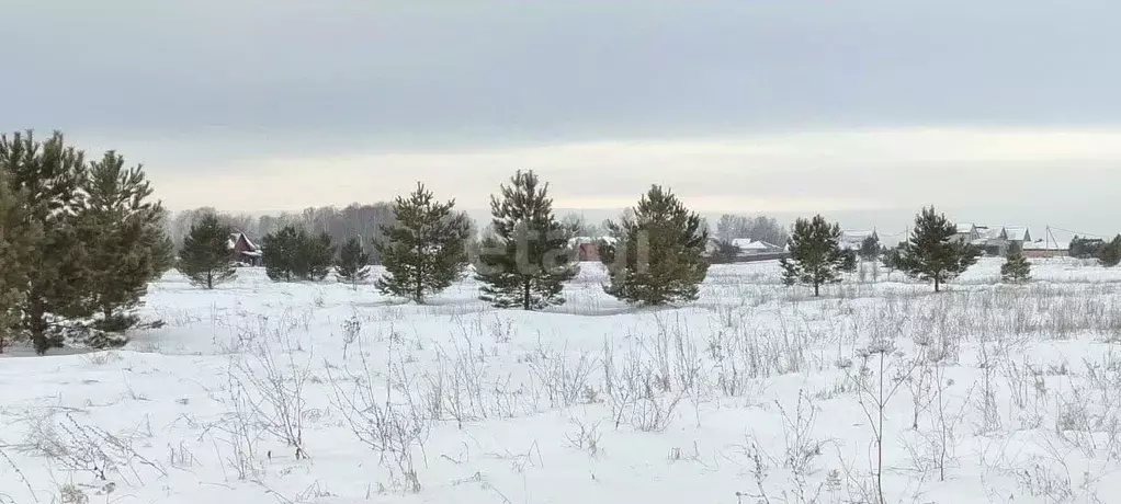 Участок в Алтайский край, Барнаул ул. Пушкина, 71 (8.1 сот.) - Фото 1