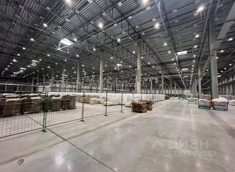 Склад в Санкт-Петербург пос. Шушары, Московское ш., 26 (13064 м) - Фото 1