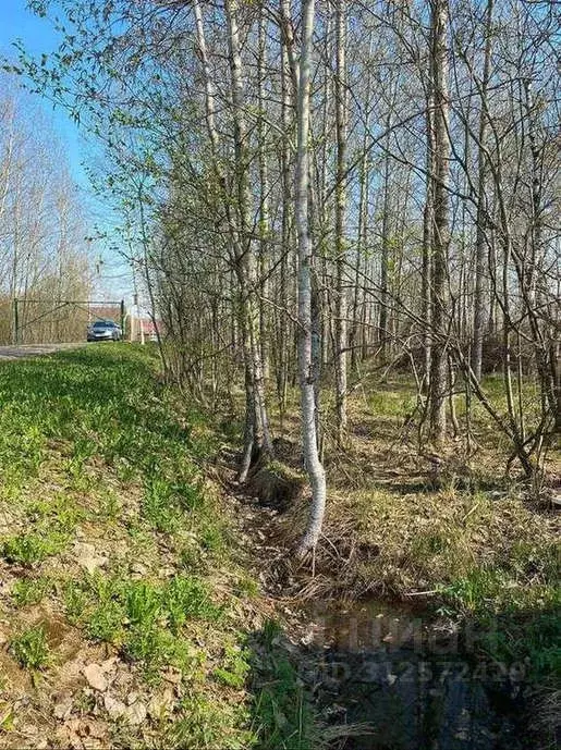 Участок в Новгородская область, Новгородский район, Ермолинское с/пос, ... - Фото 1