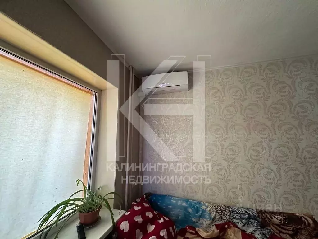 Комната Калининградская область, Калининград ул. Павлика Морозова, 115 ... - Фото 2