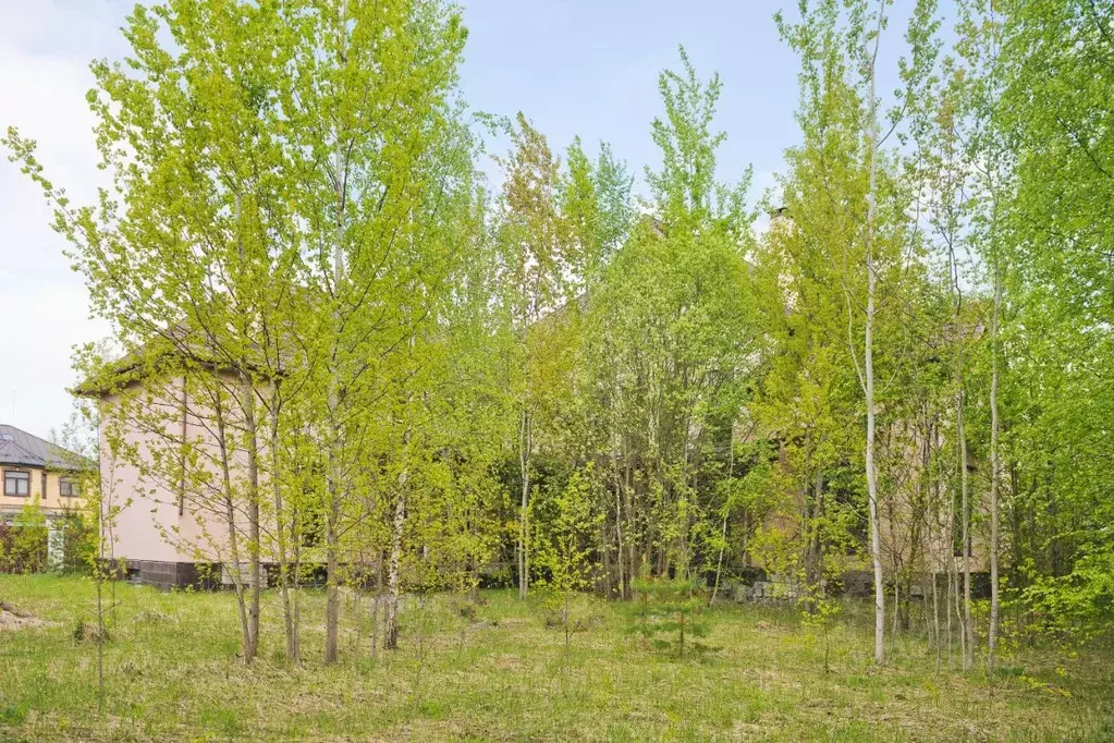 Участок в Московская область, Одинцовский городской округ, Знаменские ... - Фото 2