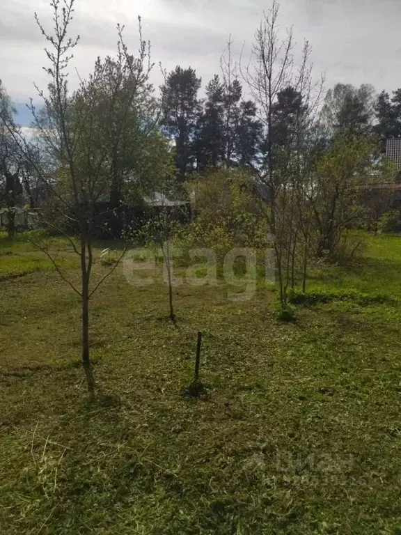 Участок в Ленинградская область, Всеволожск ш. Дорога Жизни, 9 (8.74 ... - Фото 2