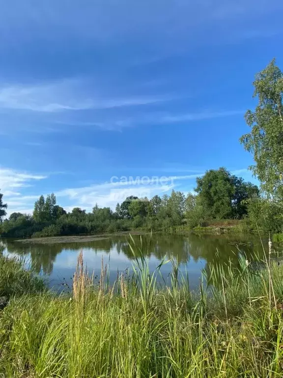 Дом в Ярославская область, Борисоглебский муниципальный округ, д. ... - Фото 0
