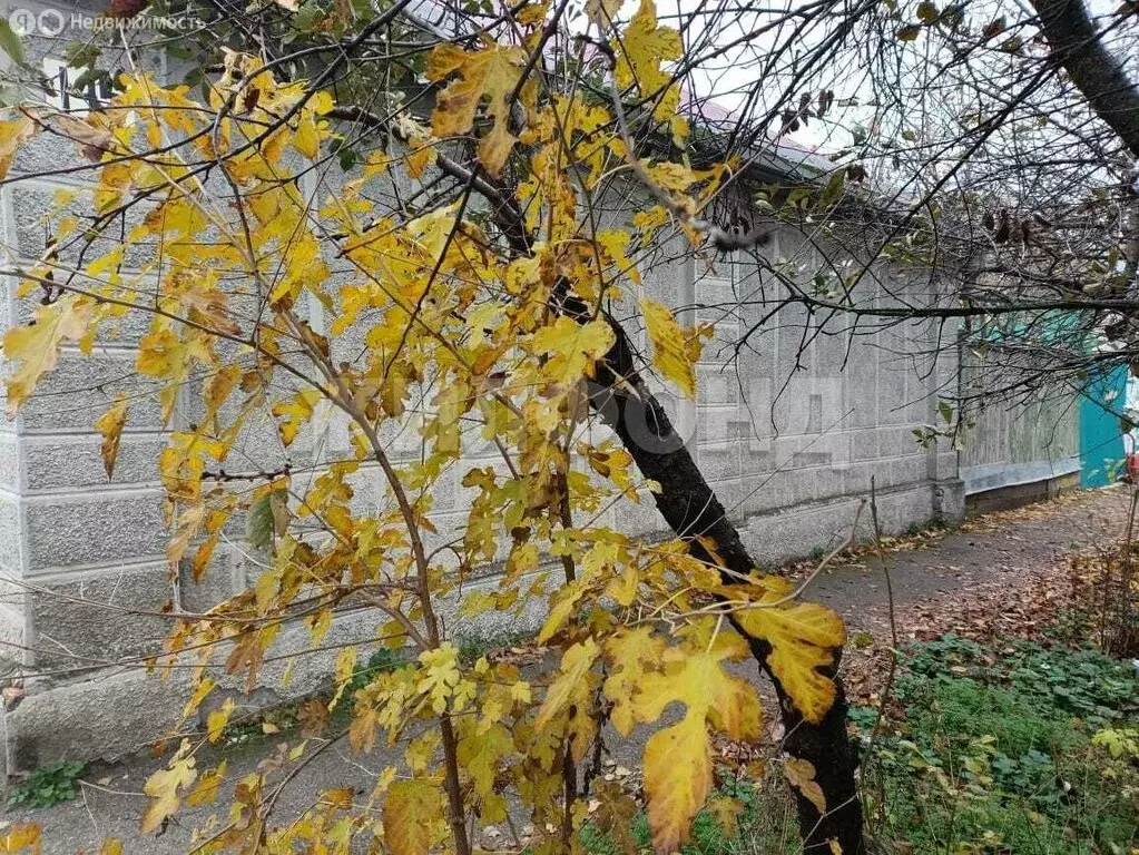 Дом в Георгиевск, улица Ульянова (35.7 м) - Фото 1