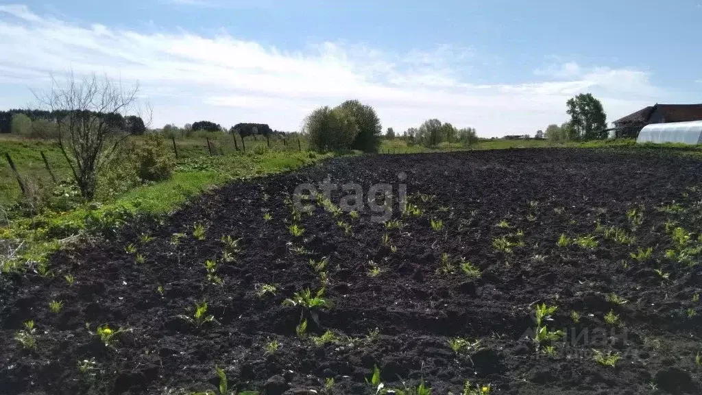 Участок в Башкортостан, Бирский район, Бурновский сельсовет, с. ... - Фото 0