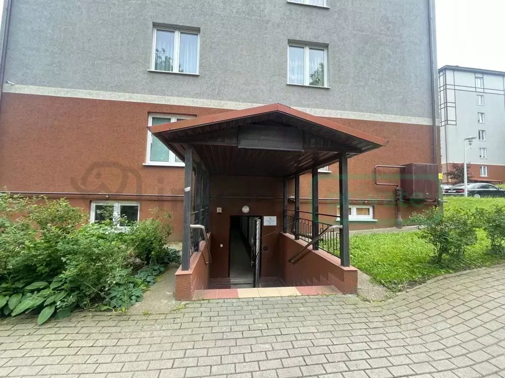 Помещение свободного назначения в Калининградская область, Светлогорск ... - Фото 1