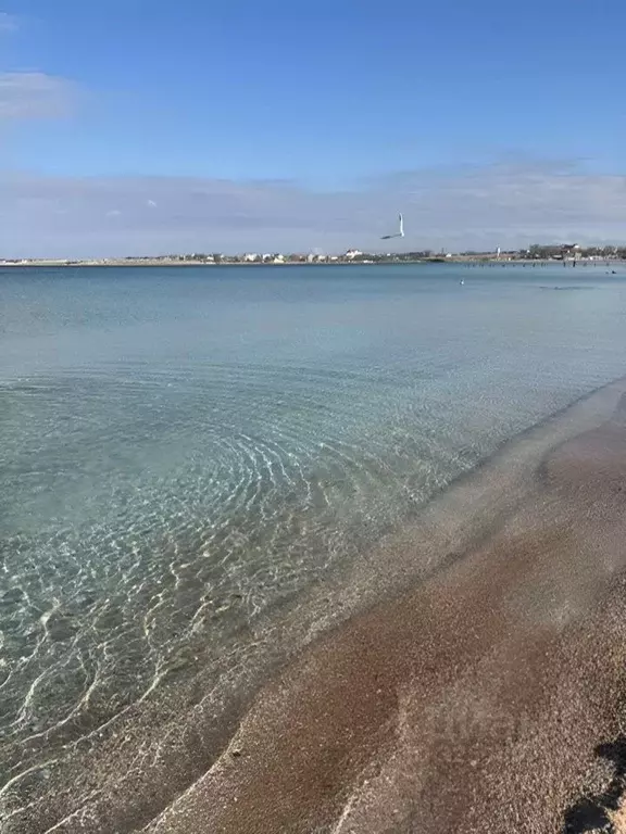 Участок в Крым, Черноморское пгт ул. Персиковая (9.0 сот.) - Фото 2