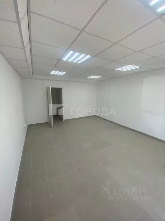 Помещение свободного назначения в Новосибирская область, Новосибирск ... - Фото 0
