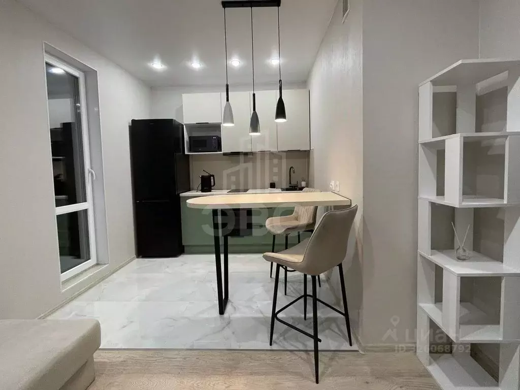 Студия Санкт-Петербург пос. Шушары, просп. Старорусский, 5к1 (25.0 м) - Фото 2