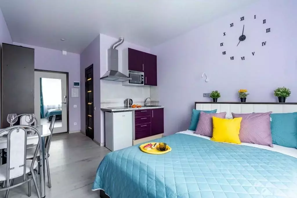 1-к кв. Санкт-Петербург Старо-Петергофский просп., 41 (25.0 м) - Фото 2
