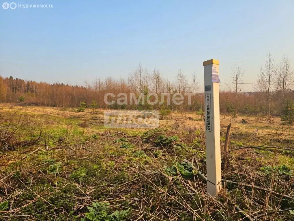 Участок в Наро-Фоминский городской округ, деревня Новинское, 31 (8 м) - Фото 2