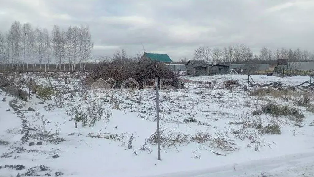 Участок в Тюменская область, Тюмень Салют СНТ, ул. Яблоневая (9.0 ... - Фото 0