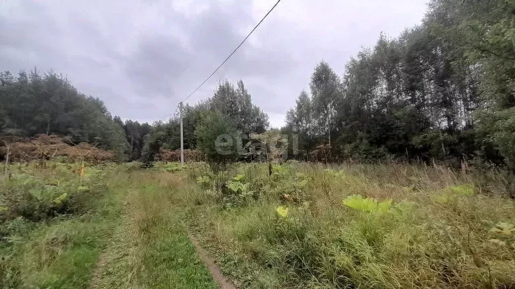 Участок в Кировская область, Кирово-Чепецкий район, Кстининское с/пос, ... - Фото 2