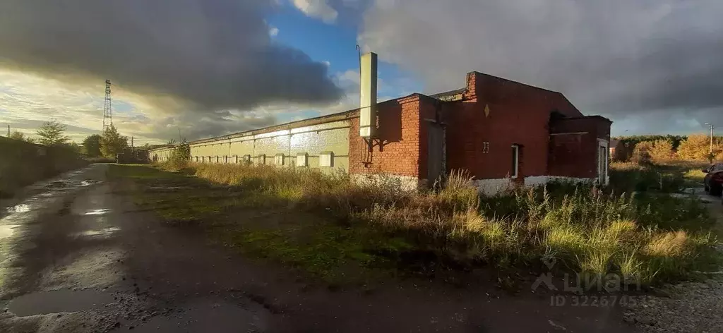 Склад в Московская область, Одинцовский городской округ, д. Малые ... - Фото 1