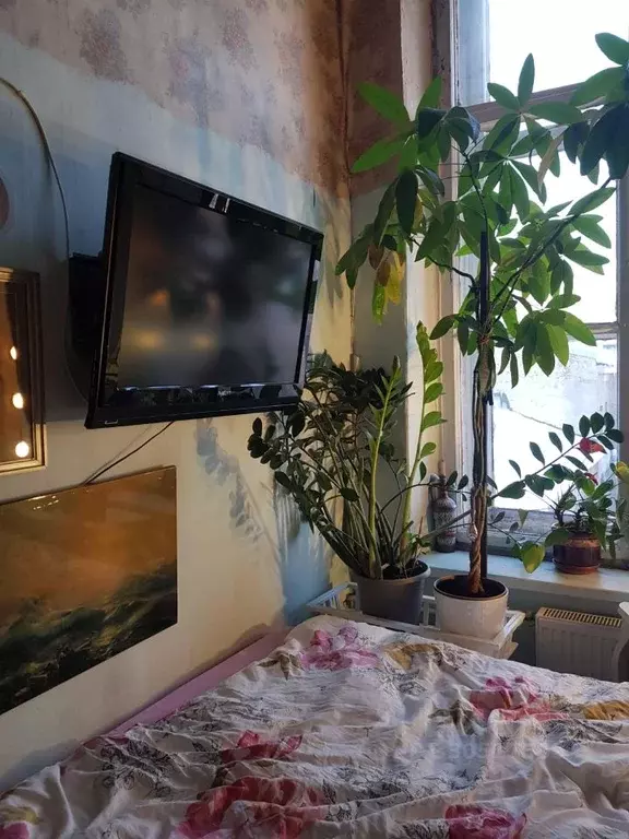 Комната Санкт-Петербург просп. Римского-Корсакова, 49 (20.0 м) - Фото 1