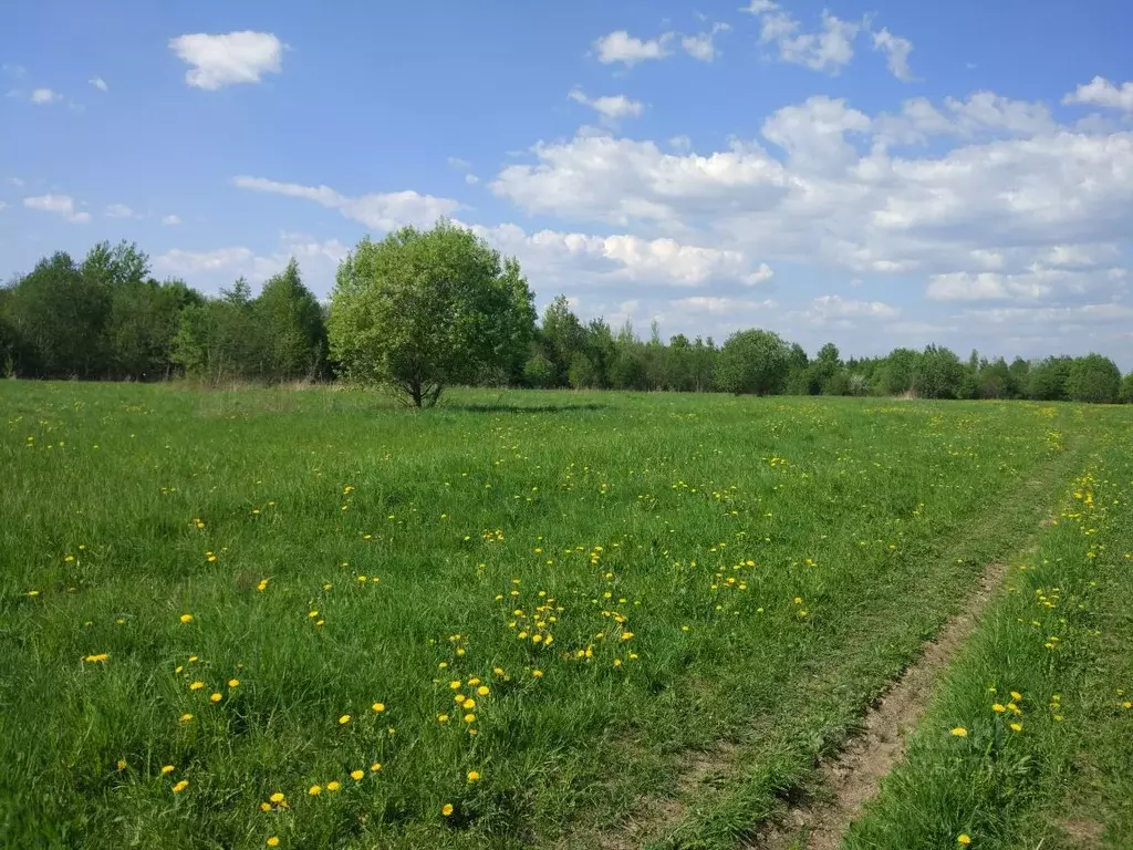 Участок в Псковская область, Псковский район, Логозовская волость  ... - Фото 2