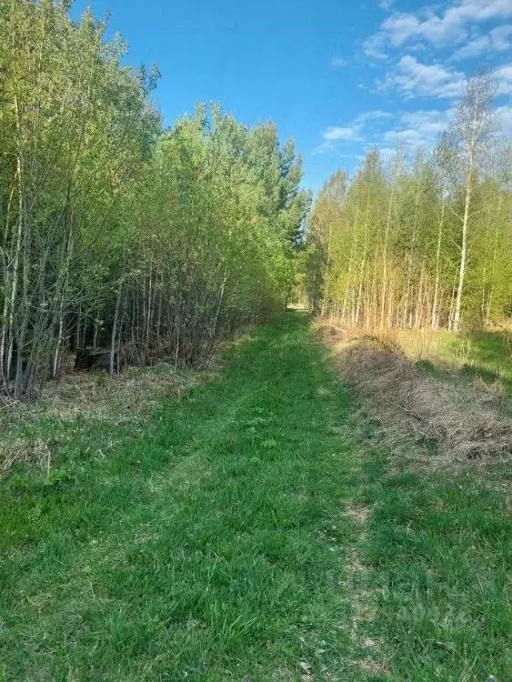 Участок в Иркутская область, Шелеховский район, Большелугское ... - Фото 1