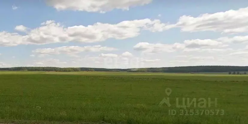 Участок в Свердловская область, Полевской муниципальный округ, с. ... - Фото 0