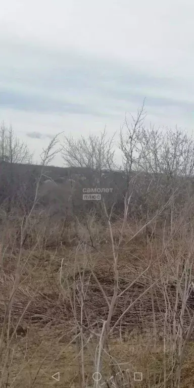 Участок в Липецкая область, Липецкий муниципальный округ, с. Маховище ... - Фото 2