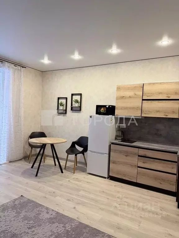 Студия Новосибирская область, Новосибирск ул. Коминтерна, 89 (28.0 м) - Фото 2