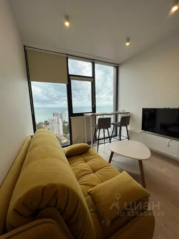 1-к кв. Краснодарский край, Сочи Светлана мкр, ул. Депутатская, 10Б/1 ... - Фото 2