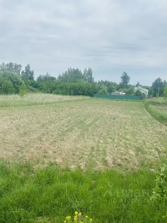 Участок в Московская область, Коломна городской округ, д. Тимирево 18 ... - Фото 2