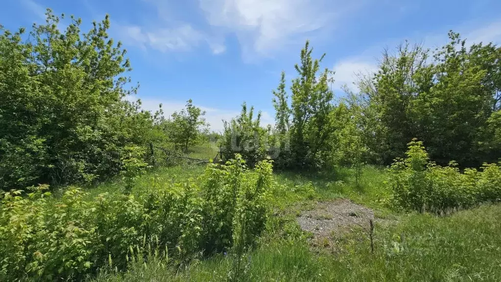 Участок в Крым, Белогорский район, с. Крымская Роза ул. Людмилы ... - Фото 0