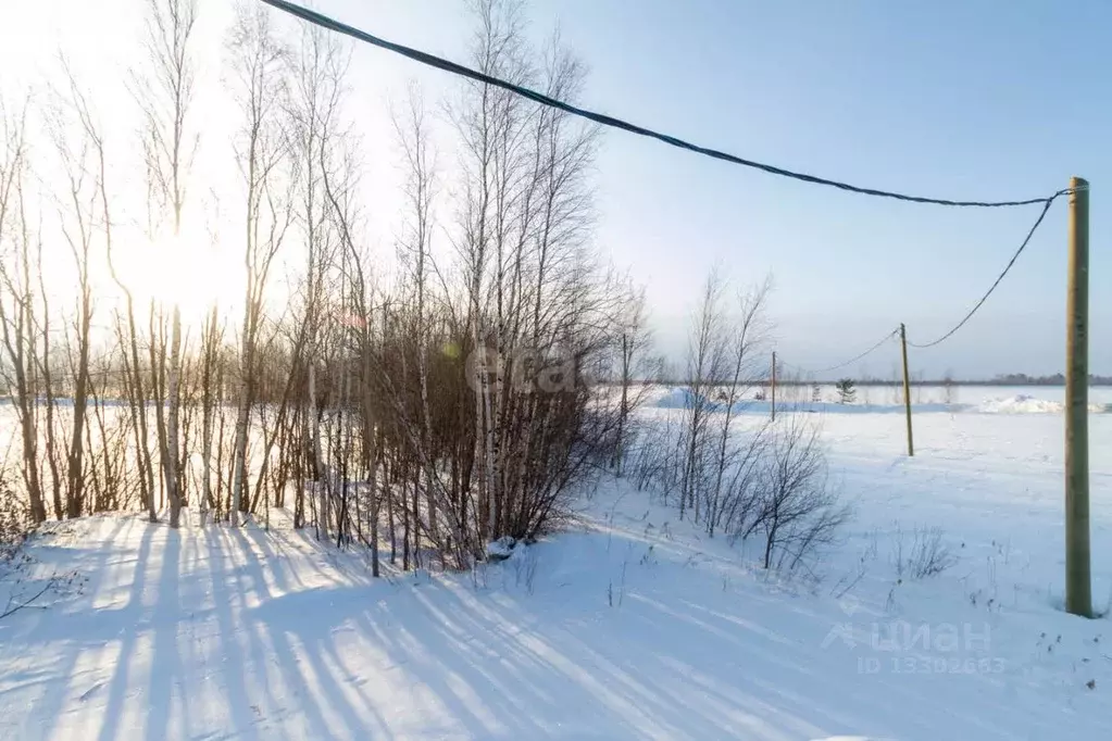 Участок в Ханты-Мансийский АО, Сургутского муниципального района тер., ... - Фото 1