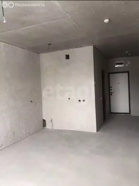 Квартира-студия: Новосибирск, Красный проспект, 180 (26.5 м) - Фото 2