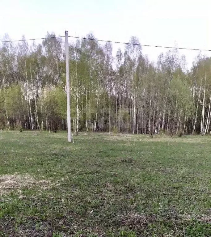 Участок в Татарстан, Зеленодольский район, Большекургузинское с/пос, ... - Фото 1