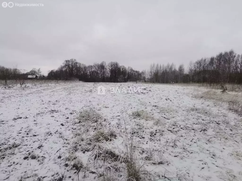 Участок в Суздальский район, село Новоалександрово (50 м) - Фото 0